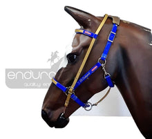 Equitime Biothane Endurance Bridle Set