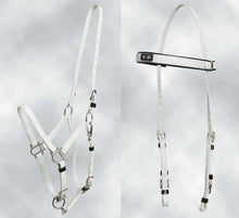 Zilco Deluxe Endurance Halter/Bridle Combo